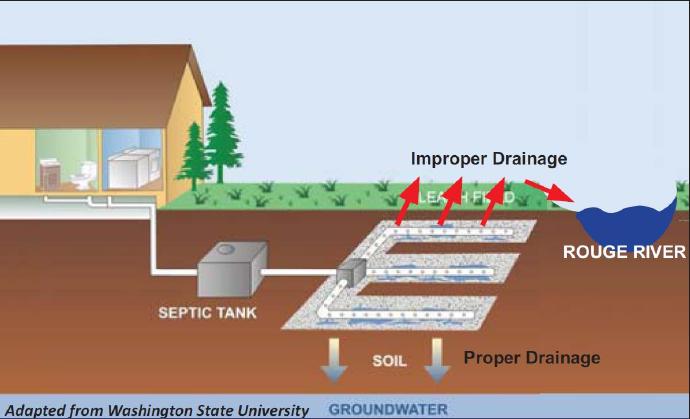 家庭污水处理在国外一瞥